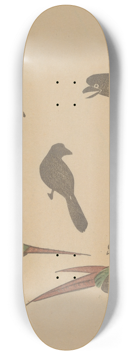 Masayoshi Kitao - Choju ryakugashiki, Pl.28 8.25 inch art skate deck