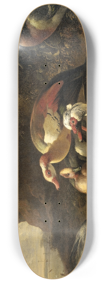 Melchior d'Hondecoeter - Ducks 8.25 inch art skate deck