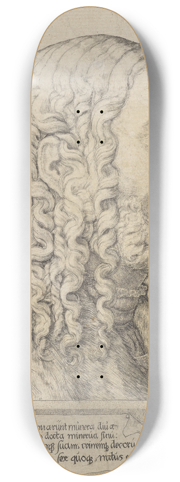 Melchior Lorck - Albrecht Drer 8.25 inch art skate deck