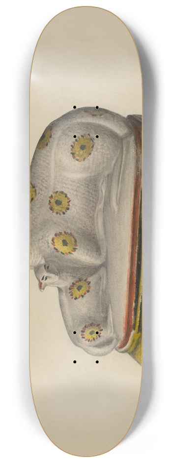Mina Lowry - Pa. German Chalkware Sheep 8.25 inch art skate deck