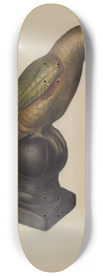 Mina Lowry - Parrot 8.25 inch art skate deck