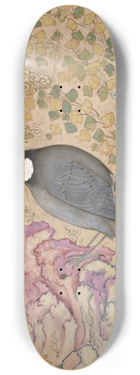 Muin Musavvir - White-Eared Bulbul Perched on a PinkRock 8.25 inch art skate deck