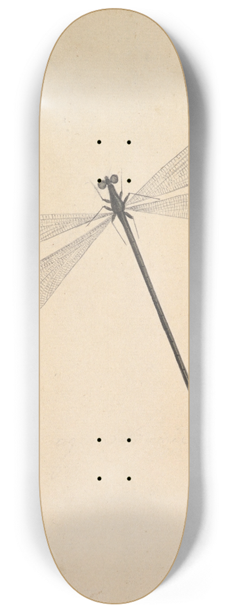Nicolaas Struyk - A Dragonfly 8.25 inch art skate deck
