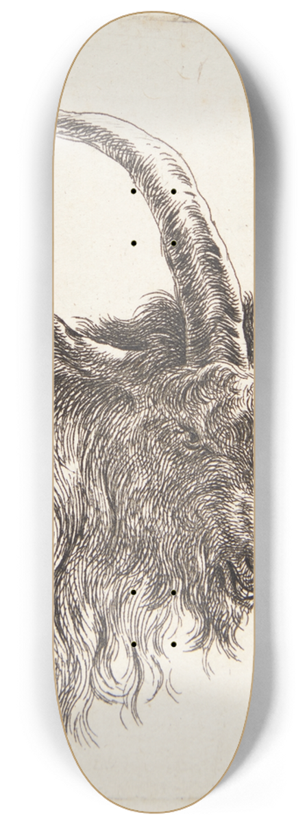 Nicolaes Pietersz. Berchem - Gedehoved vendt mod hjre 8.25 inch art skate deck