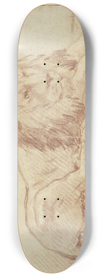 Nicolas Guibal - Ein liegender Lwe nach rechts 8.25 inch art skate deck