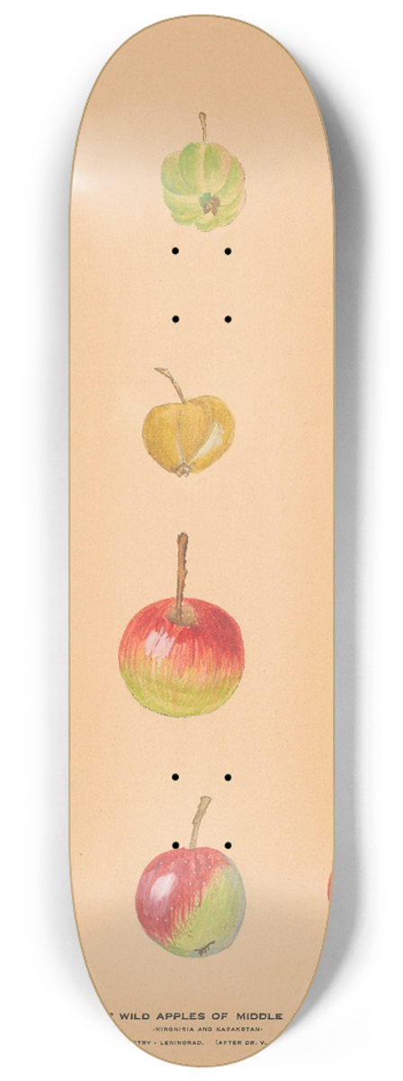 Nikolai Ivanovich Vavilov - The Wild Apples of Middle Asia 8.25 inch art skate deck
