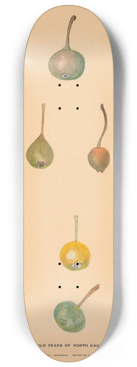 Nikolai Ivanovich Vavilov - The Wild Pears of North Caucasus 8.25 inch art skate deck