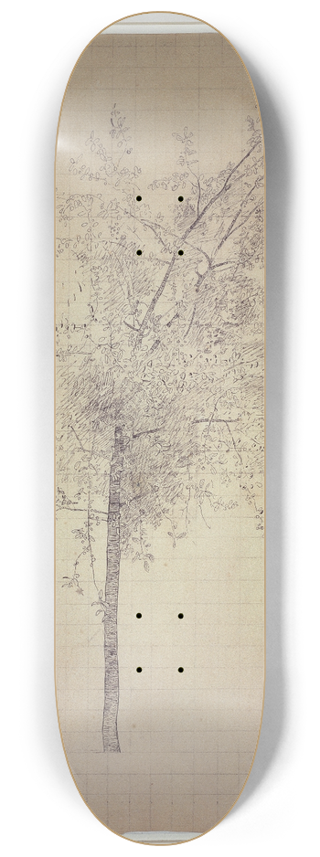 Odilon Redon - A tree 8.25 inch art skate deck