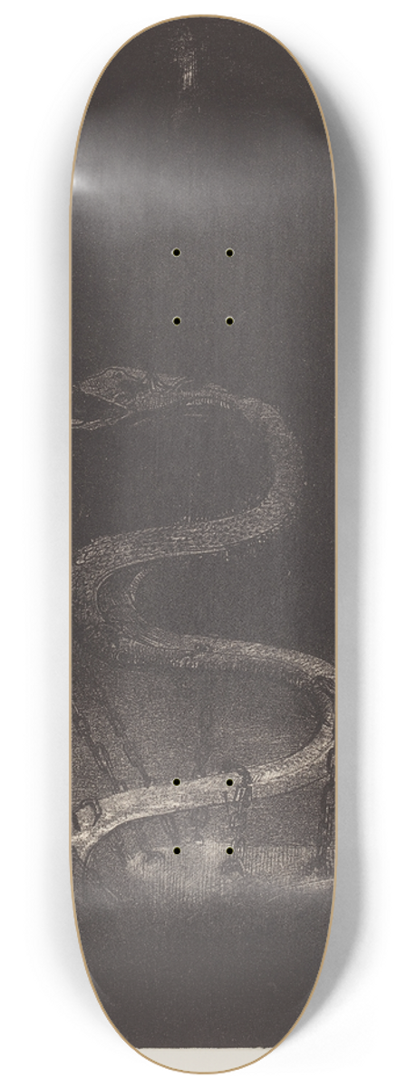 Odilon Redon - Et le lia pour mille ans (And bound him a thousand years) 8.25 inch art skate deck