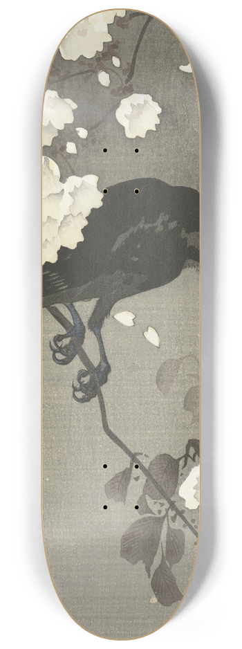 Ohara Koson - Crow with cherry blossom 8.25 inch art skate deck