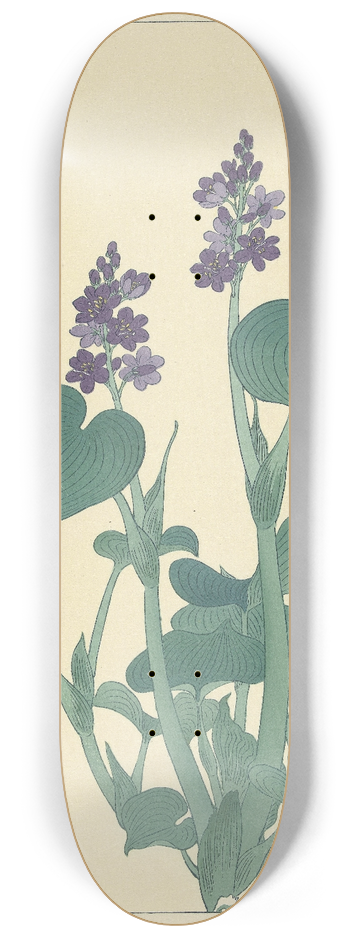 Ohara Koson - Flowering hosta 8.25 inch art skate deck