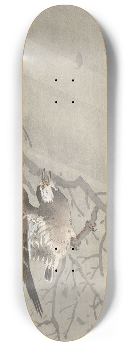 Ohara Koson - Gray starling in storm 8.25 inch art skate deck
