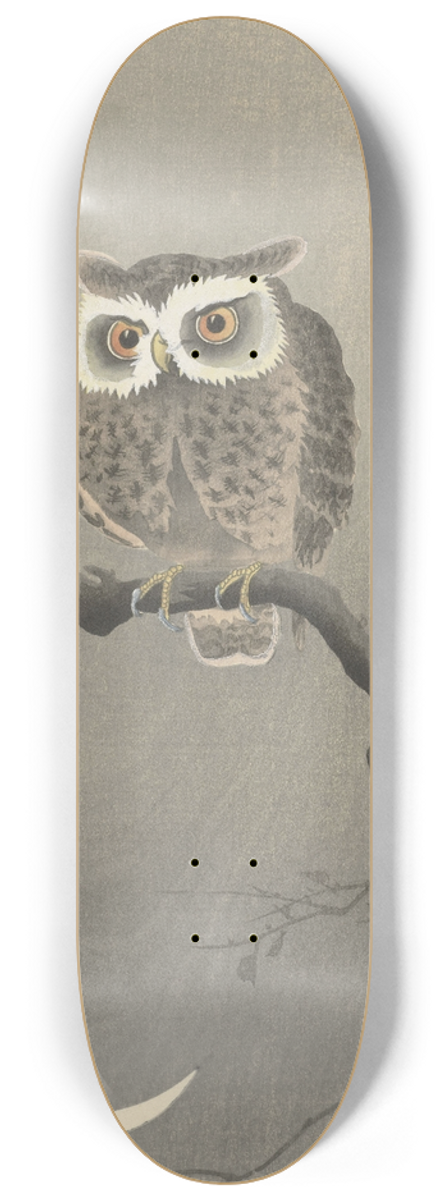 Ohara Koson - Long-eared owl on bare tree branch 8.25 inch art skate deck