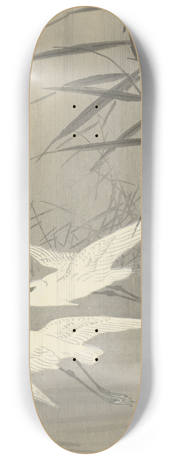 Ohara Koson - Two egrets in flight 8.25 inch art skate deck