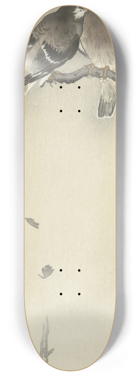 Ohara Koson - Two gray starlings 8.25 inch art skate deck