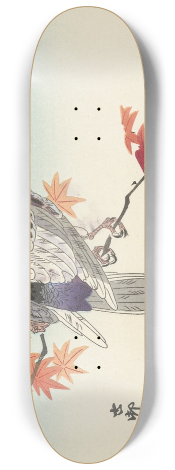 Ohara Koson - Two pigeons on autumnal branch 8.25 inch art skate deck