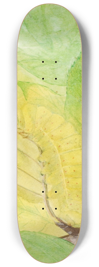 Abbott Handerson Thayer - Lunar Caterpillar, study for book Concealing Coloration in the Animal Kingdom 8.25 inch art skate deck