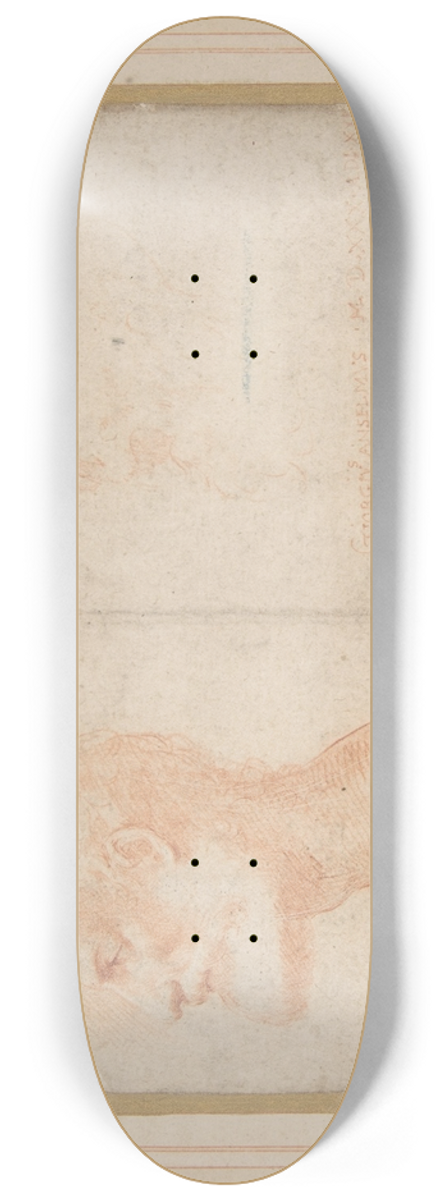 Parmigianino - Head of a Bearded Man in Profile to Left, possibly the Portrait of the Poet Giorgio Anselmi 8.25 inch art skate deck