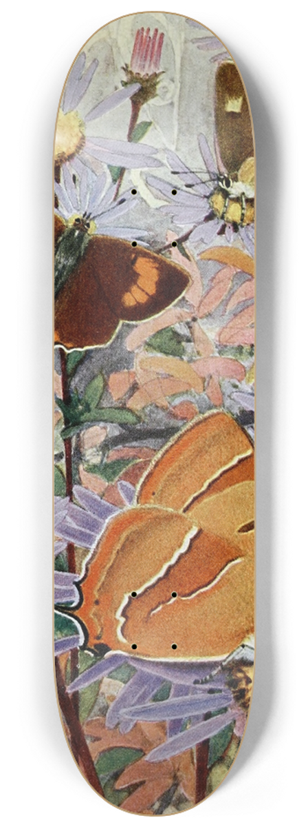 Paul-Andre Robert - La Thcla du Bouleau 8.25 inch art skate deck