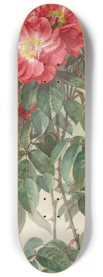 Paul de Longpre - Branches of Ragged Robin Roses 8.25 inch art skate deck