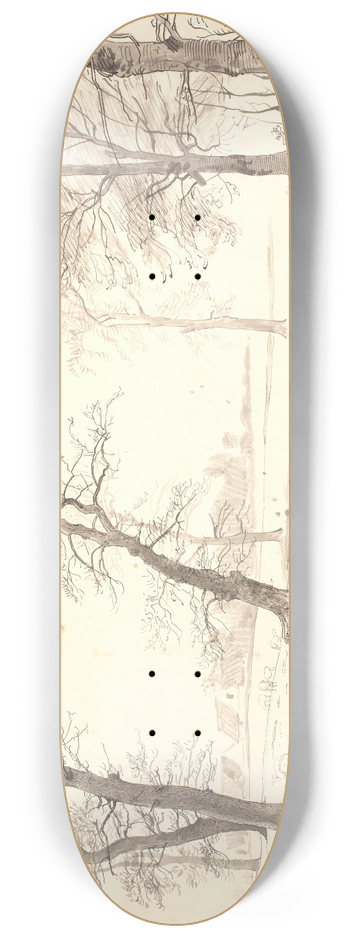 P. C. Skovgaard - Aaen gennem Breelde skov ved Usserd 8.25 inch art skate deck