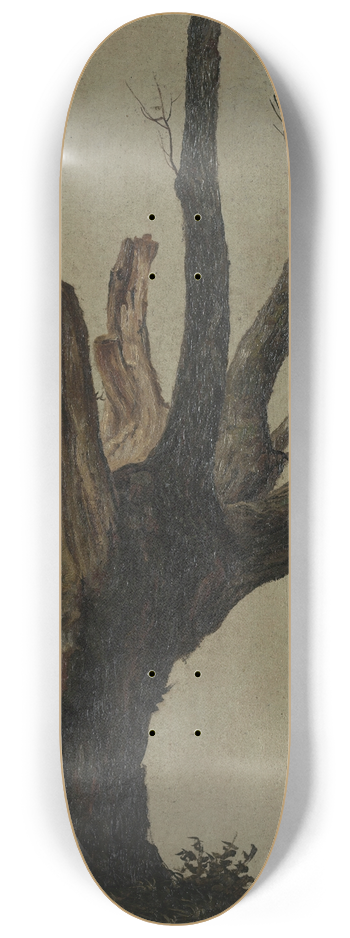 Anton Schiffer - Baumstudie im Prater 8.25 inch art skate deck