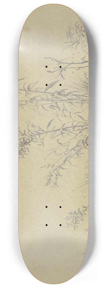 Peter Burnitz - Turf 8.25 inch art skate deck