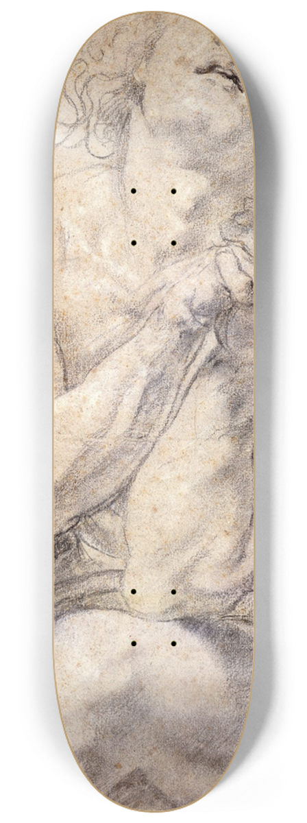 Peter Paul Rubens - Seated Male Youth (Study for Daniel) 8.25 inch art skate deck