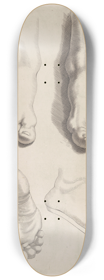 Peter Paul Rubens - Study of Feet 8.25 inch art skate deck