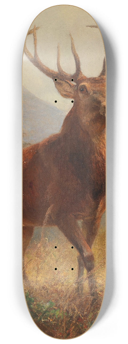 Anton Weinberger - Trophy Stag in an Open Landscape 8.25 inch art skate deck