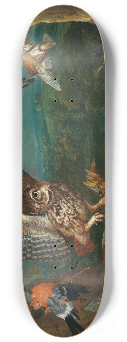 Philipp Ferdinand de Hamilton - An owl and other birds 8.25 inch art skate deck