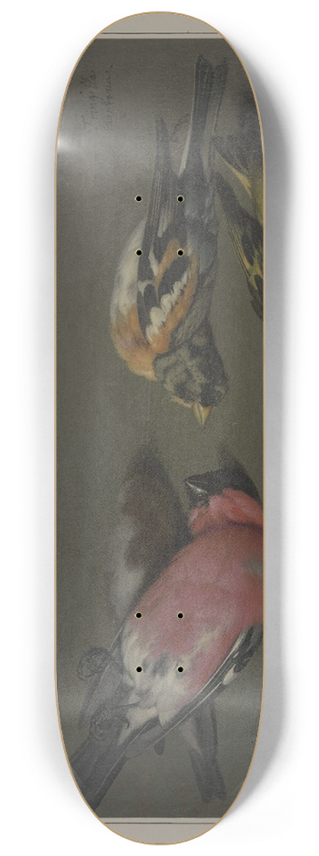 Philipp Ferdinand de Hamilton - Five dead birds 8.25 inch art skate deck