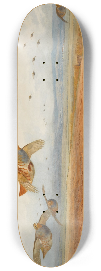 Archibald Thorburn - A Covey of Grey Partridge in Flight 8.25 inch art skate deck
