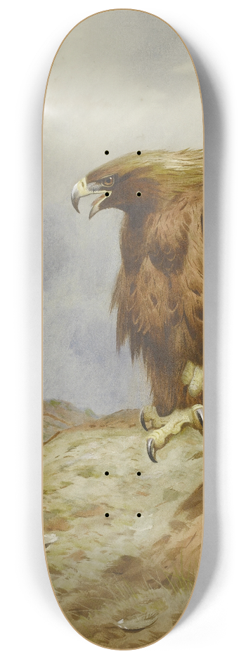 Archibald Thorburn - A Pair Of Golden Eagles 8.25 inch art skate deck