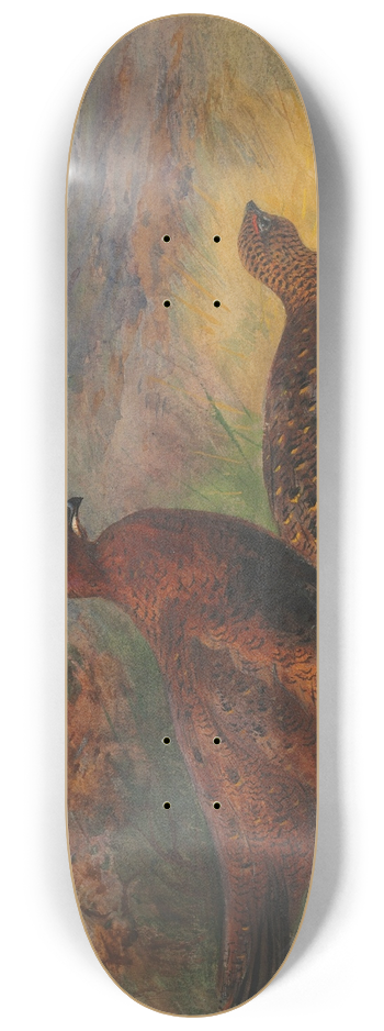 Archibald Thorburn - A pair of red grouse in a landscape 8.25 inch art skate deck