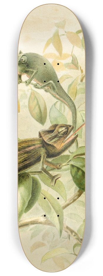 Pierre Jacques Smit - Chameleons 8.25 inch art skate deck