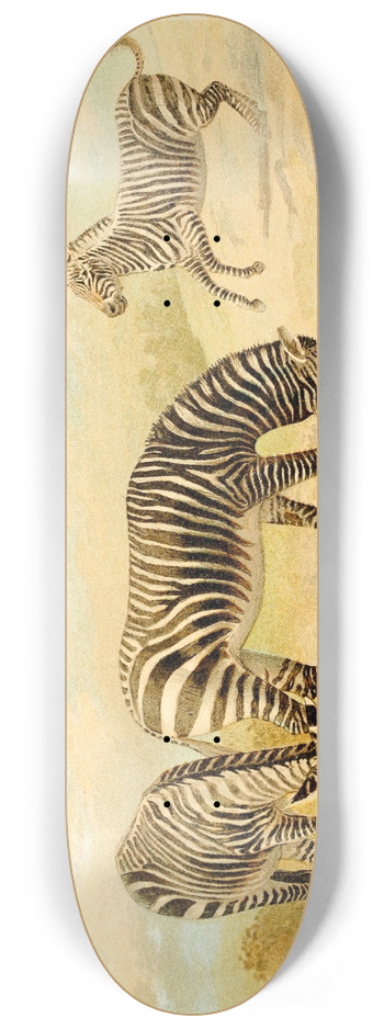 Pierre Jacques Smit - Zebra 8.25 inch art skate deck