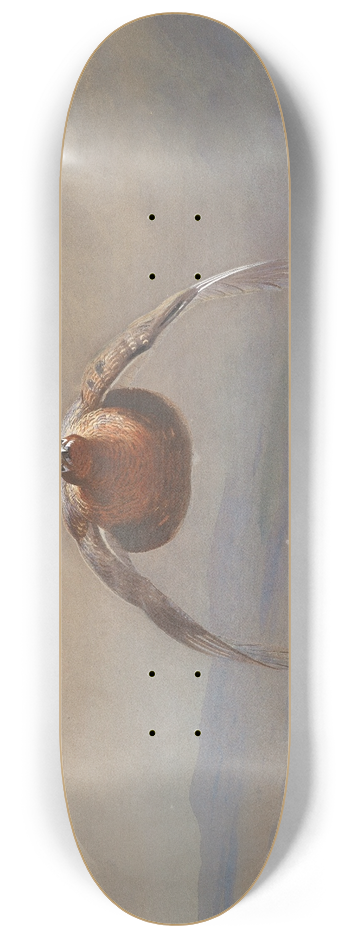 Archibald Thorburn - Grouse in flight 8.25 inch art skate deck