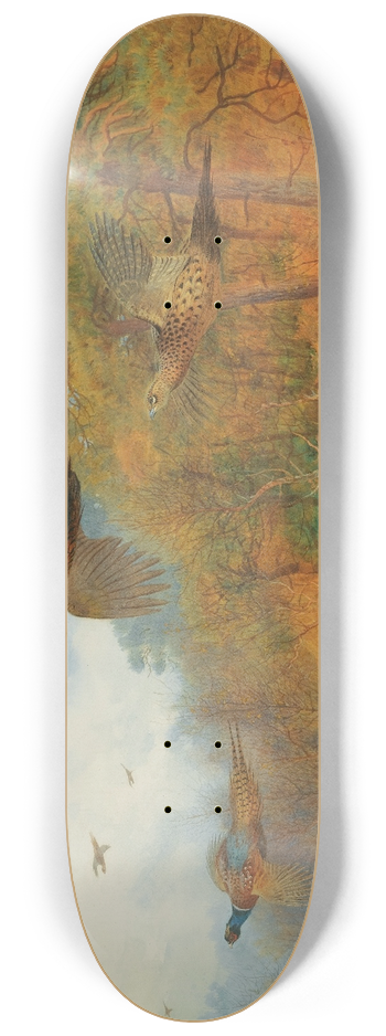 Archibald Thorburn - Pheasants Breaking Out Of Cover 8.25 inch art skate deck