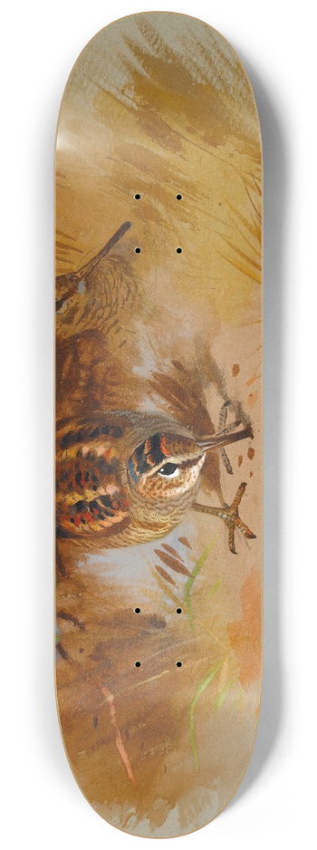 Archibald Thorburn - Woodcock In A Sandy Hollow 8.25 inch art skate deck