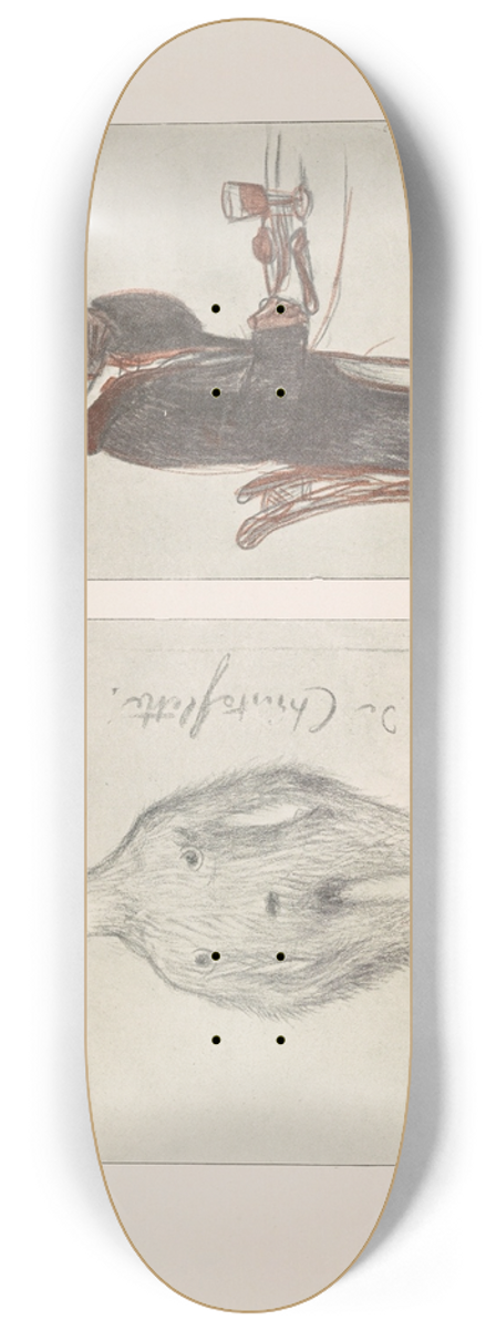 Pierre Puvis de Chavannes - Les caricatures de Puvis de Chavannes Pl.33 8.25 inch art skate deck