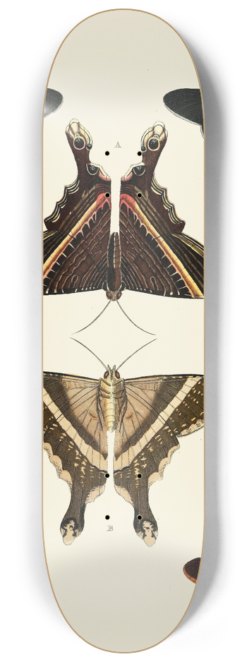 Pieter Cramer - Foreign butterflies occurring in the three continents Asia, Africa and America Pl.007 8.25 inch art skate deck