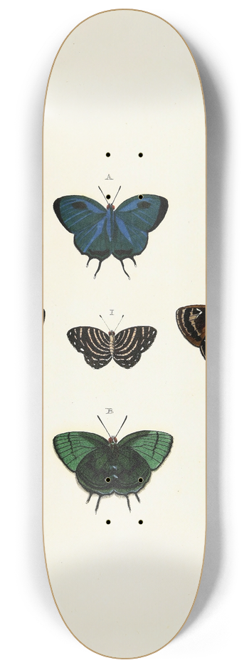 Pieter Cramer - Foreign butterflies occurring in the three continents Asia, Africa and America Pl.139 8.25 inch art skate deck