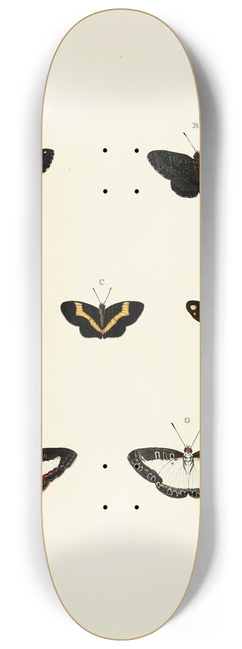Pieter Cramer - Foreign butterflies occurring in the three continents Asia, Africa and America Pl.141 8.25 inch art skate deck
