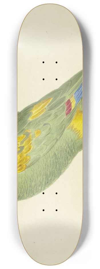 Pieter Holsteijn - Green parrot 8.25 inch art skate deck