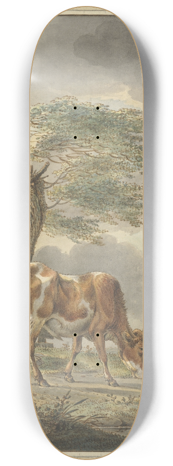 Pieter Janson - Danil Dupr 8.25 inch art skate deck