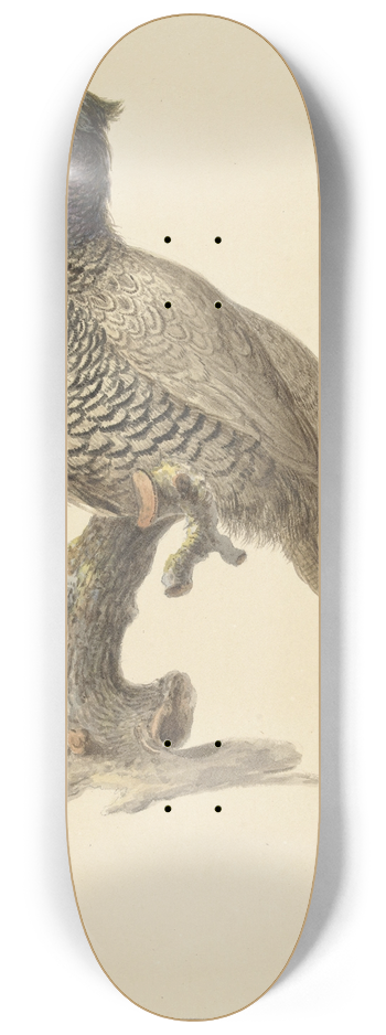 Pieter Pietersz. Barbiers - Jachtfazant 8.25 inch art skate deck