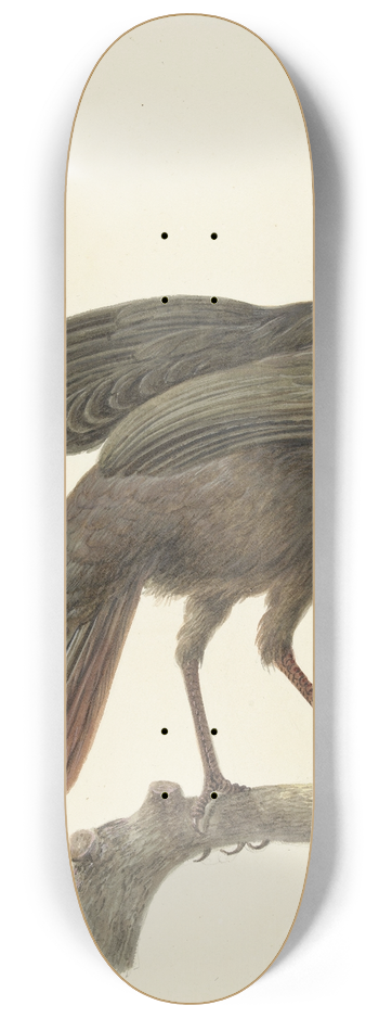 Pieter Pietersz. Barbiers - Kuifsjakohoen (Penelope purpurascens) 8.25 inch art skate deck