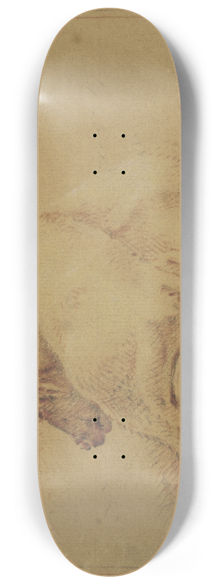 Pieter van Bloemen - Lying cow 8.25 inch art skate deck