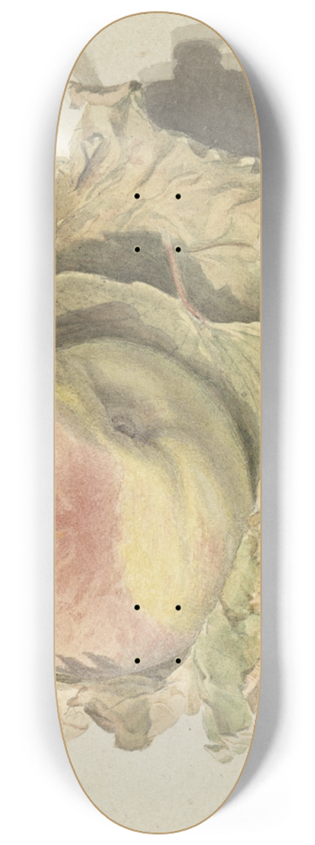 Pieter van der Meulen - Perzik op twee bladeren 8.25 inch art skate deck